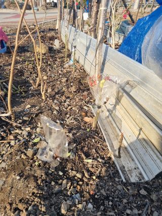 김용대님의 자유주제 · 자유게시판 작성글 사진