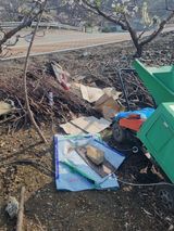 김용대님의 자유주제·자유게시판 작성글 사진