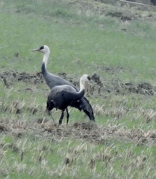 국중선님의 자유주제 · 자유게시판 작성글 사진
