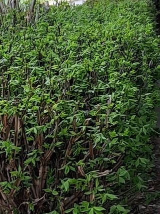 MSG0074님의 자유주제 · 자유게시판 작성글 사진