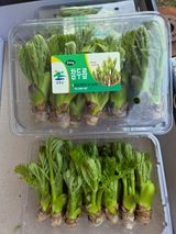 팜모닝 자유주제·자유게시판 게시글 이미지