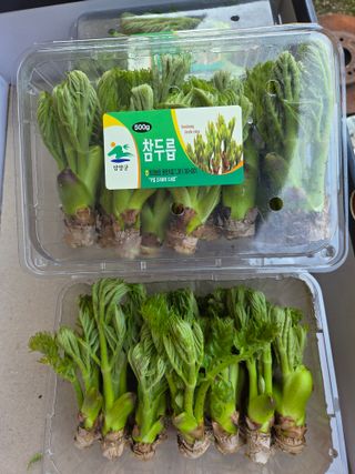 knlee님의 자유주제 · 자유게시판 작성글 사진