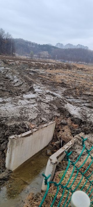 대파11156님의 자유주제 · 자유게시판 작성글 사진