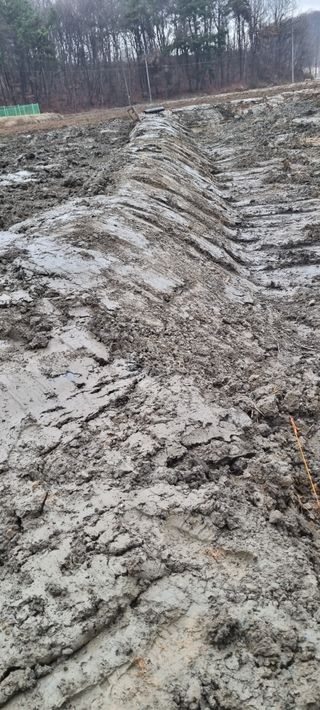 대파11156님의 자유주제 · 자유게시판 작성글 사진