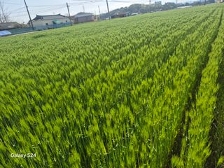 사천시향촌동 돼지띠님의 자유주제 · 자유게시판 작성글 사진