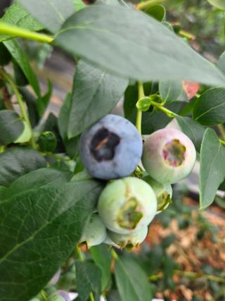 김상근님의 자유주제 · 사진전 작성글 사진