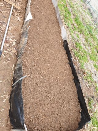 황강순님의 자유주제·자유게시판 작성글 사진