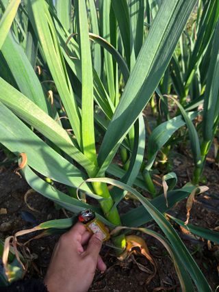 김태혁님의 자유주제 · 자유게시판 작성글 사진