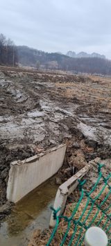 강성월님의 자유주제·자유게시판 작성글 사진