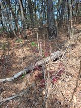 실버농부님의 자유주제·자유게시판 작성글 사진