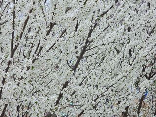 청산거사님의 자유주제 · 자유게시판 작성글 사진