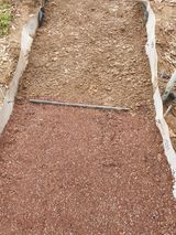 황강순님의 자유주제·자유게시판 작성글 사진