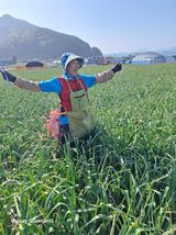 팜모닝 자유주제·자유게시판 게시글 이미지