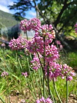 인생은 소풍처럼~님의 자유주제 · 자유게시판 작성글 사진