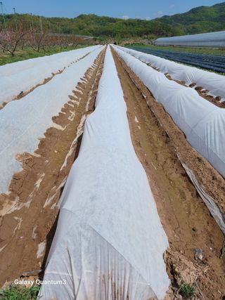 이창우님의 자유주제 · 자유게시판 작성글 사진