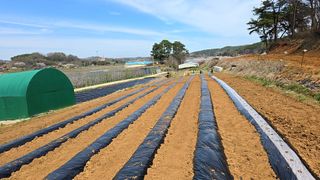 이우섭님의 자유주제 · 자유게시판 작성글 사진