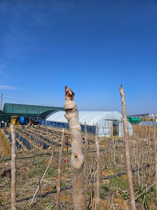 유병욱님의 자유주제 · 자유게시판 작성글 사진