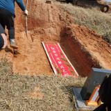 소병찬님의 자유주제·자유게시판 작성글 사진