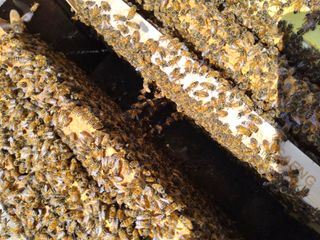 신지연님의 자유주제 · 자유게시판 작성글 사진