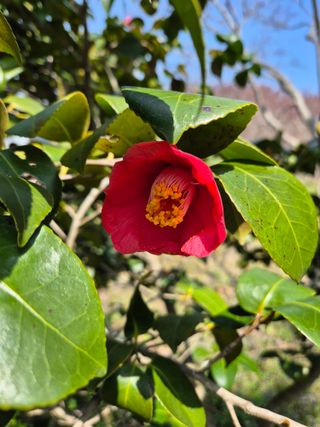 분재님의 자유주제 · 자유게시판 작성글 사진