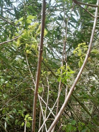 김민수산에서농사중님의 자유주제 · 자유게시판 작성글 사진