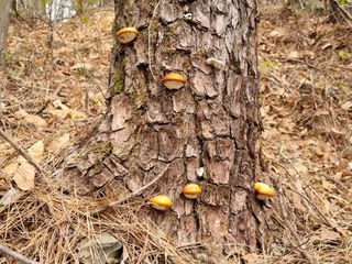 박진규님의 자유주제 · 자유게시판 작성글 사진