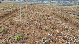 조병대님의 자유주제 · 자유게시판 작성글 사진