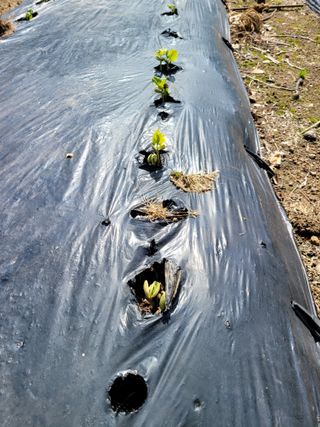 정소망님의 자유주제 · 자유게시판 작성글 사진