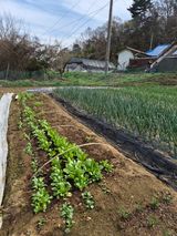 Kns4324님의 자유주제·자유게시판 작성글 사진