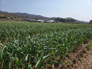 김태혁님의 자유주제 · 자유게시판 작성글 사진