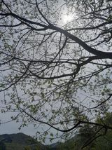 팜모닝 자유주제·자유게시판 게시글 이미지