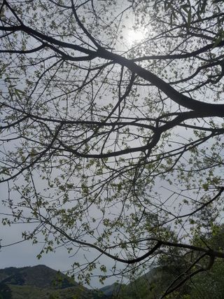 김민수산에서농사중님의 자유주제·자유게시판 작성글 사진