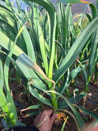 김태혁님의 자유주제 · 자유게시판 작성글 사진