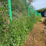 이창화님의 자유주제·자유게시판 작성글 사진