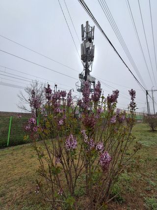 MSG0074님의 자유주제 · 자유게시판 작성글 사진