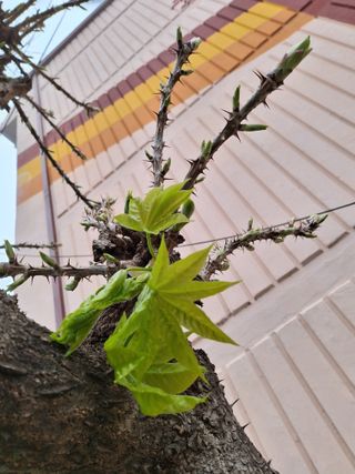 MSG0074님의 자유주제 · 자유게시판 작성글 사진