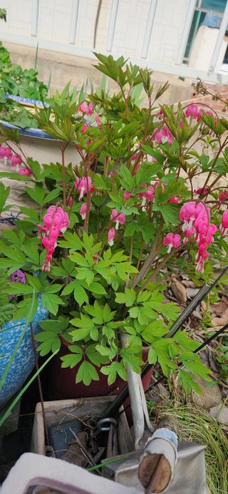 하은와송~♡♡♡~님의 자유주제 · 자유게시판 작성글 사진