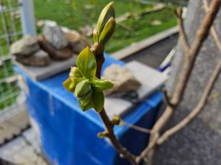 신지연님의 자유주제 · 자유게시판 작성글 사진