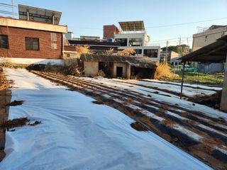 박사도사님의 자유주제 · 자유게시판 작성글 사진