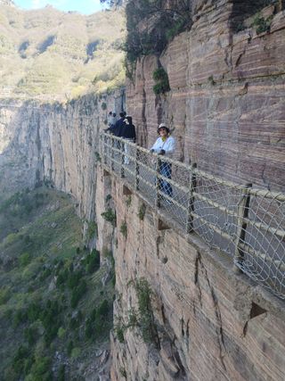 이남희님의 자유주제 · 자유게시판 작성글 사진