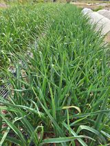 팜모닝 자유주제·자유게시판 게시글 이미지