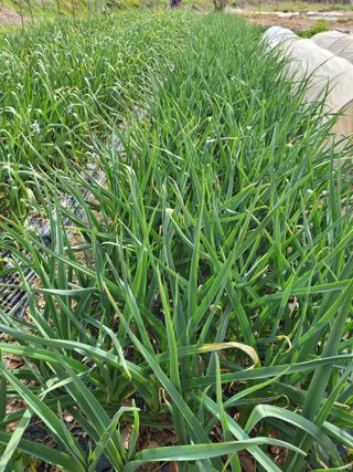 정소망님의 자유주제 · 자유게시판 작성글 사진