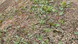 조병대님의 자유주제 · 자유게시판 작성글 사진