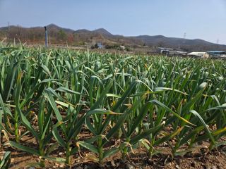 김태혁님의 자유주제 · 자유게시판 작성글 사진