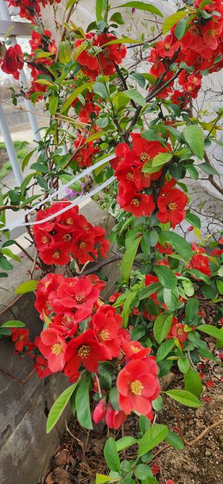 하은와송~♡♡♡~님의 자유주제·자유게시판 작성글 사진