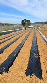 이우섭님의 자유주제·자유게시판 작성글 사진