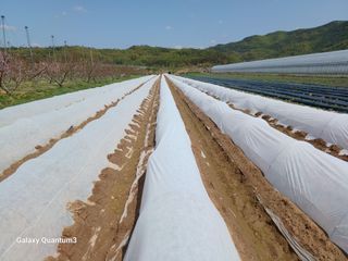 이창우님의 자유주제 · 자유게시판 작성글 사진