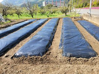 정소망님의 자유주제 · 자유게시판 작성글 사진