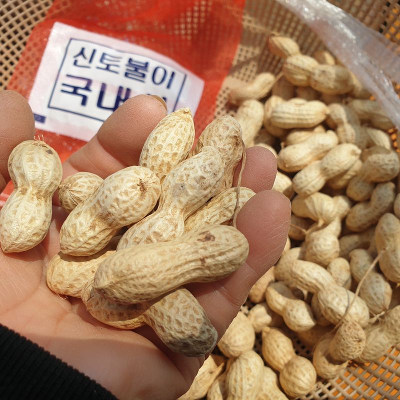 농부아내님의 장터 판매 상품 [껍질 안 깐 토종땅콩 종자 200g] 첨부 사진