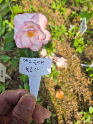 분재님의 자유주제 · 자유게시판 작성글 사진